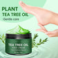 🥳2026 HOT SALE🥳💞50K+ SOLD!✨ 💝Soothing Aloe Vera & Tea Tree Foot Moisturizer