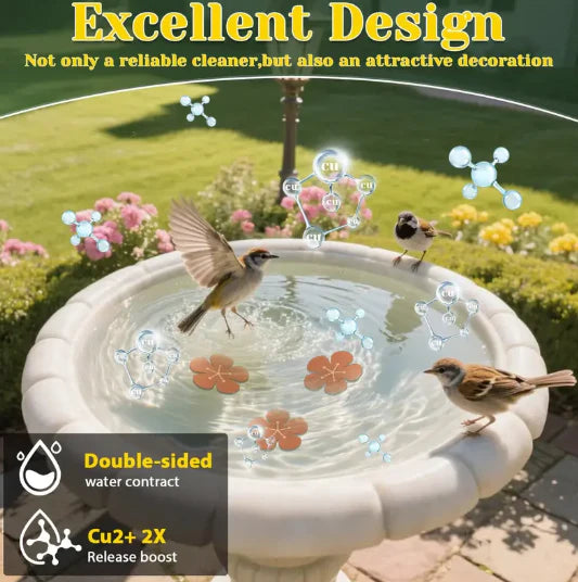 Natural Algae Inhibitor for Bird Baths & Fountains