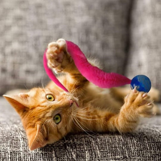 🐱Hot Sale 49% Off🔥Typared Jiggle Ball for Cat