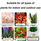 🔥Hot Sale 50% OFF💝👍[Recommended by plant experts]🌿Plant and Flower Activation Liquid Solution