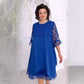 🌸🌸🌸Sheer Breeze Layered Lace Dress