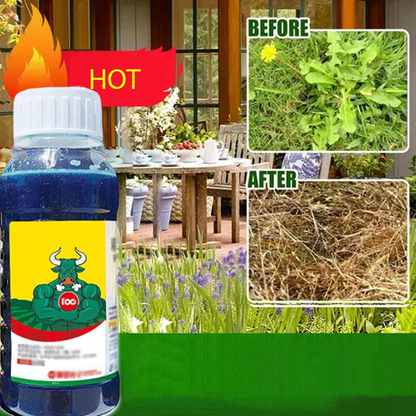 🔥Powerful Concentrated Herbicide🔥