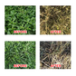 🔥Powerful Concentrated Herbicide🔥