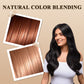 🔥2025 Hot Sale Buy 1 Get 1 Free 🔥2-in-1 Hair Color Stick & Comb