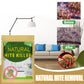 🌿🛡️ The US’s #1 Natural Mite Control Sachet– Vetted by Allergy US • 100% Chemical-Free • Safe for Babies, Pets & Asthma Sufferers 🛏️✨