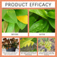Liquid Rooting Hormone