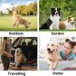 🔥Hot Sale 49% Off🔥Convenient Efficient Pet Wash-Free Wipes Gloves🐾
