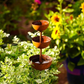 💰 Essential 3-Tier Bird Feeder — Great Value for Garden Bird Lovers
