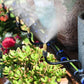 Free Bending Watering Nozzle Sprinkler